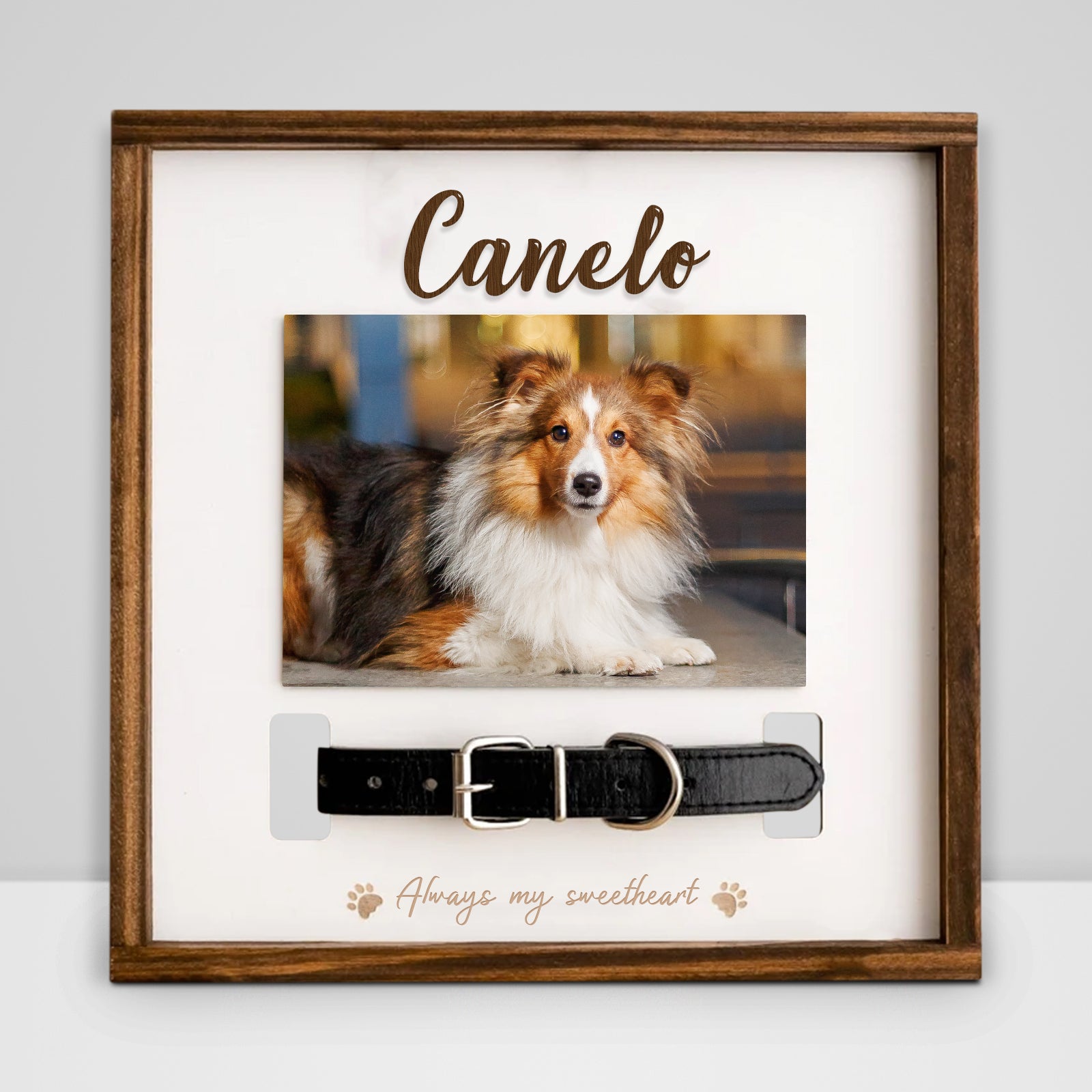 Custom Pet Collar Memorial Frame for Dog That Passed Away - MACIFECI