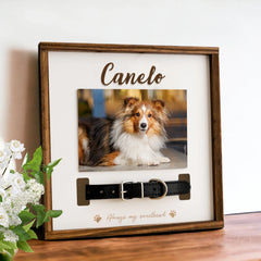 Custom Pet Collar Memorial Frame for Dog That Passed Away - MACIFECI