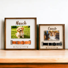Custom Pet Collar Memorial Frame for Dog That Passed Away - MACIFECI