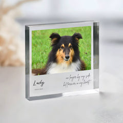 Custom Pet Memorial Acrylic Plaque with Photo Personalized Pet Loss Gifts - MACIFECI