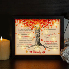 Custom Pet Memorial Framed Shadow Box with LED Lights Personalized Dog Loss Gift - MACIFECI