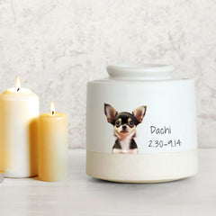 Custom Pet Photo Urn with Name Personalized Memorial Cremation Keepsakes for Dog,Cat - MACIFECI