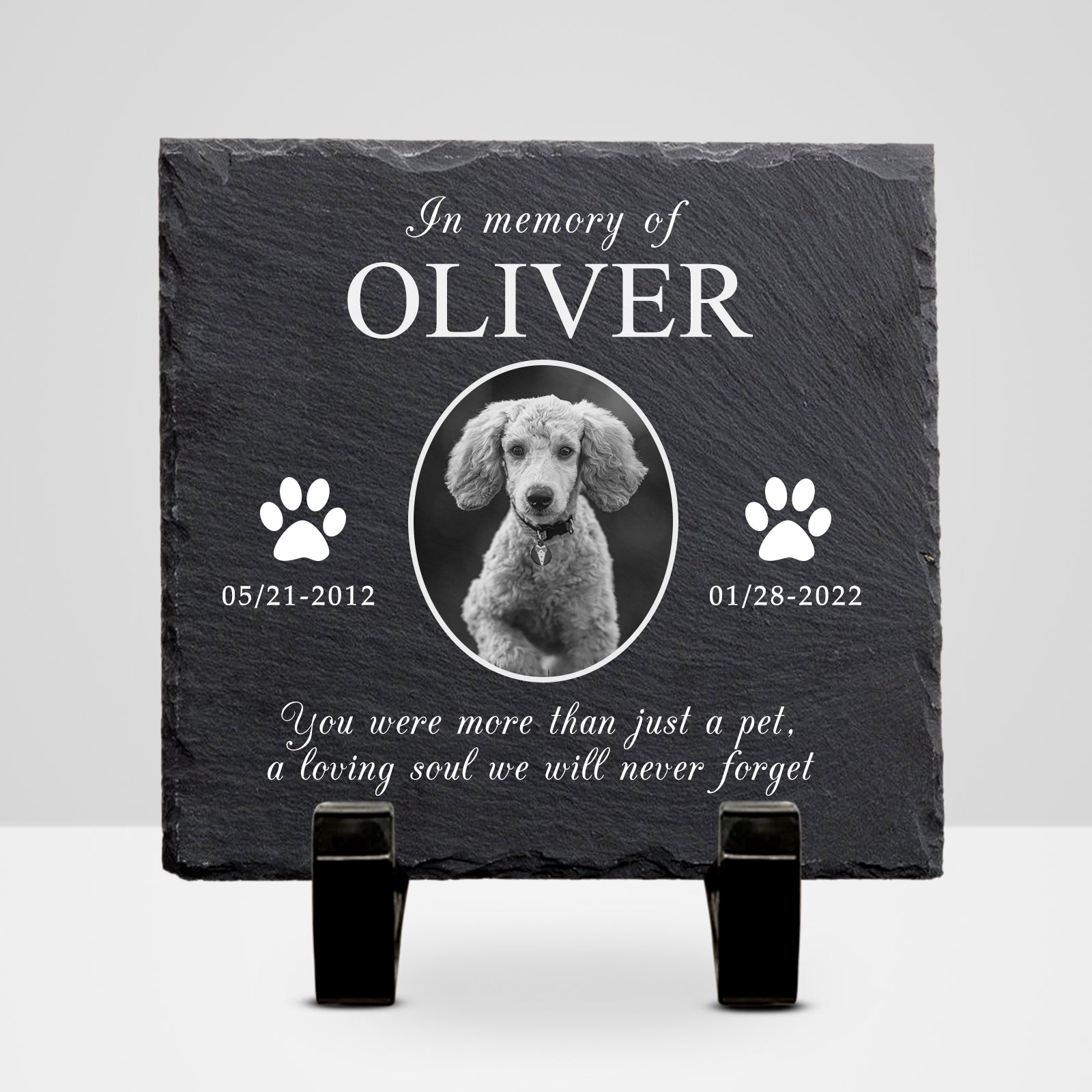 Custom Pet Remembrance Plaque with Photo For Deceased Dogs/Cats - MACIFECI