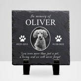 Custom Pet Remembrance Plaque with Photo For Deceased Dogs/Cats - MACIFECI