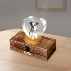 Custom Pet Urn Set with 3D Crystal Personalized Dog & Cat Urns for Ashes - MACIFECI