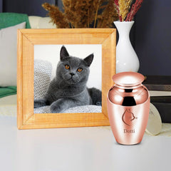 Custom cat Cremation Urns For Ashes Personalized Pet Memorial Urn with Name - MACIFECI