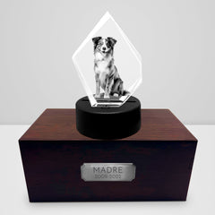 Personalized Pet Cremation Urn Set with 3D Crystal Photo for Dog Keepsakes - MACIFECI