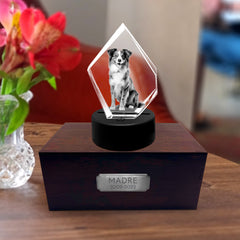 Personalized Pet Cremation Urn Set with 3D Crystal Photo for Dog Keepsakes - MACIFECI