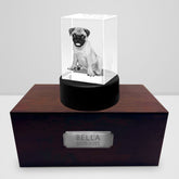 Personalized Pet Memorial Keepsake Cremation Urn with 3D Photo Crystal for Dogs & Cats - MACIFECI