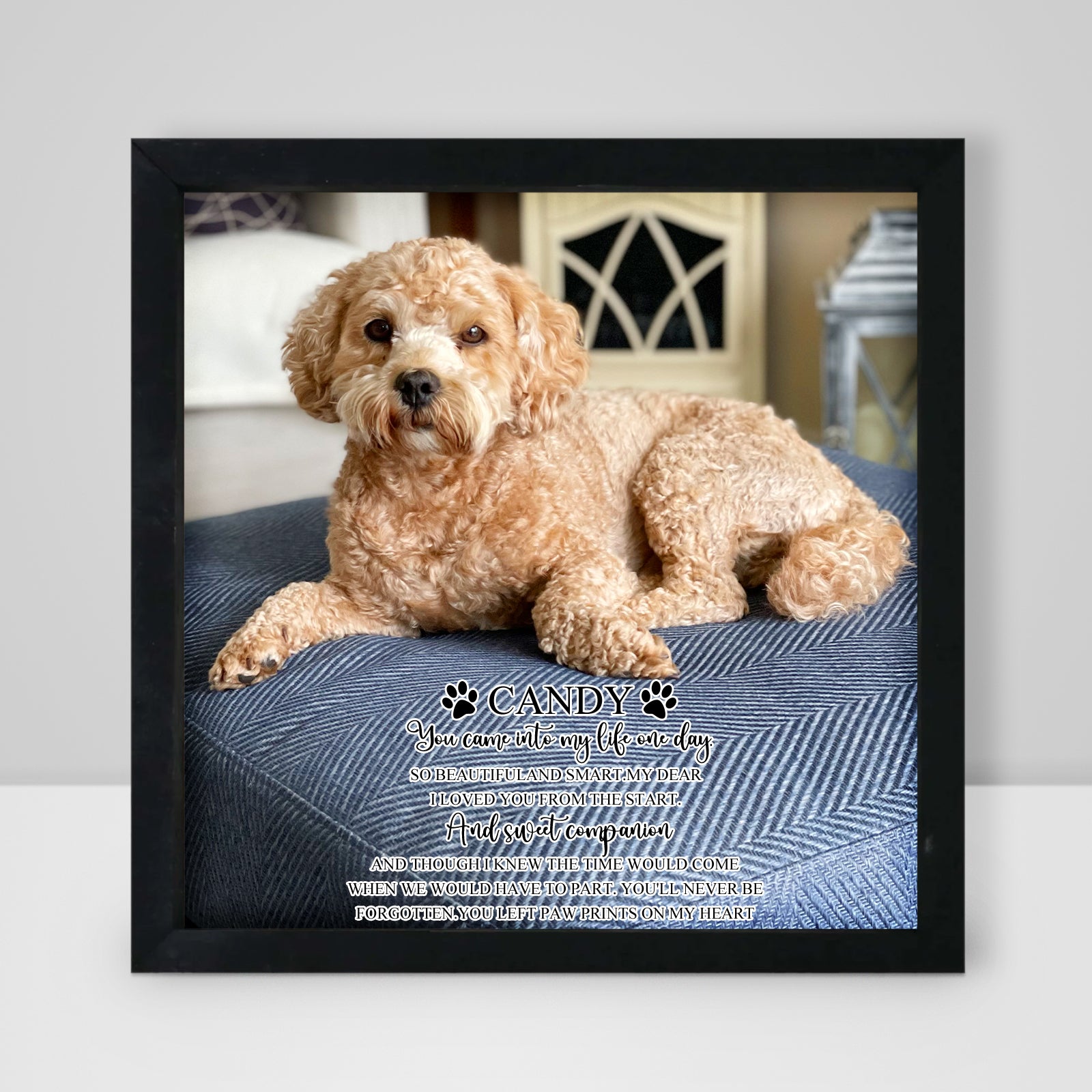 Personalized Pet Memorial Shadow Box Frame with Photo for Home Decor - MACIFECI