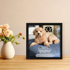 Personalized Pet Memorial Shadow Box Frame with Photo for Home Decor - MACIFECI