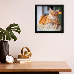 Personalized Pet Memorial Shadow Box Frame with Photo for Home Decor - MACIFECI