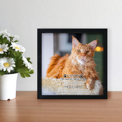 Personalized Pet Memorial Shadow Box Frame with Photo for Home Decor - MACIFECI