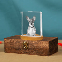 Personalized Pet Memorial Urn with Cube Crystal for Pet Loss - MACIFECI
