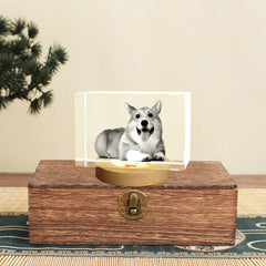 Personalized Pet Memorial Urn with Cube Crystal for Pet Loss - MACIFECI