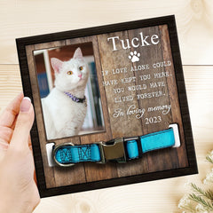 Pet Memorial Frame with Collar Personalized Dog Remembrance Gift - MACIFECI