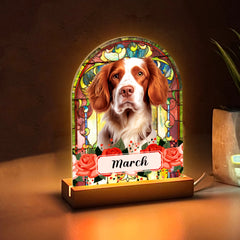 Custom Acrylic Pet Memorial Night Light Personalized Picture 3D Photo Crystal Lamp for Loss of Pet - MACIFECI