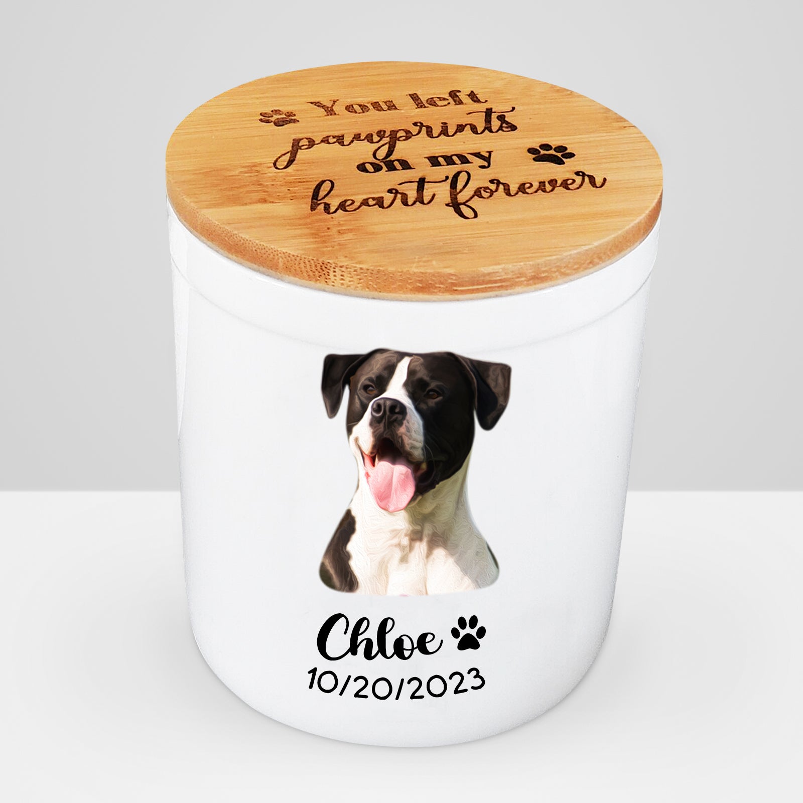 Custom Ceramic Pet Memorial Urns for Dog Ashes - MACIFECI