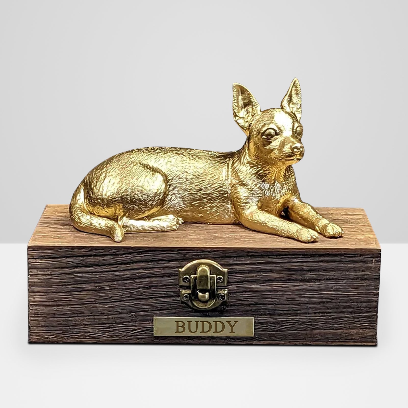 Custom Chihuahua  Ashes Boxes Engraved with Name Plate for Urn - MACIFECI