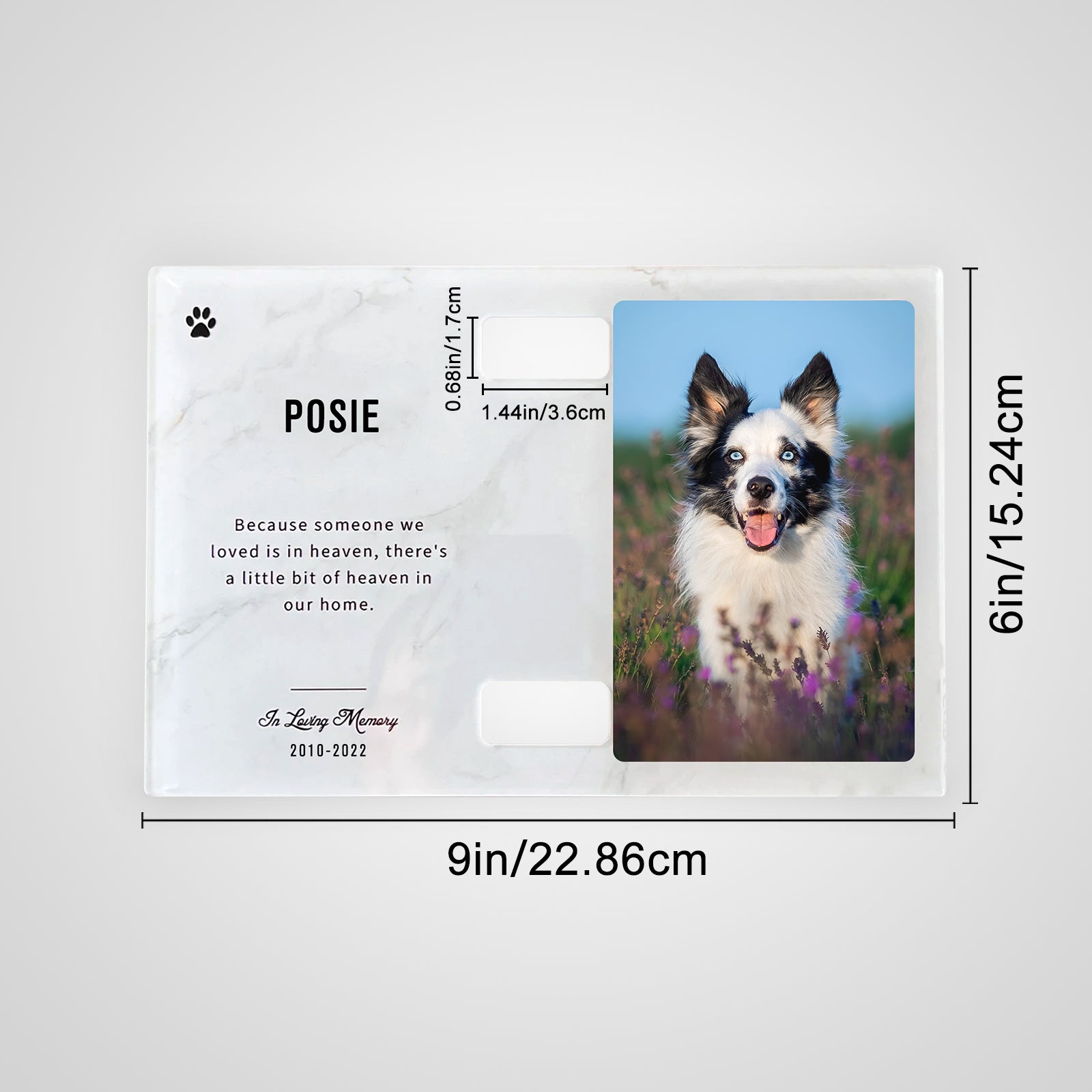 Custom Pet Collar Frame Personalized Dog Memorial Frame with Paw Print - MACIFECI