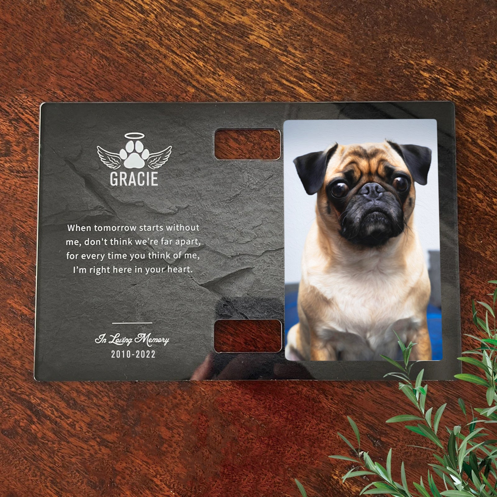 Custom Pet Collar Frame Personalized Dog Memorial Frame with Paw Print - MACIFECI