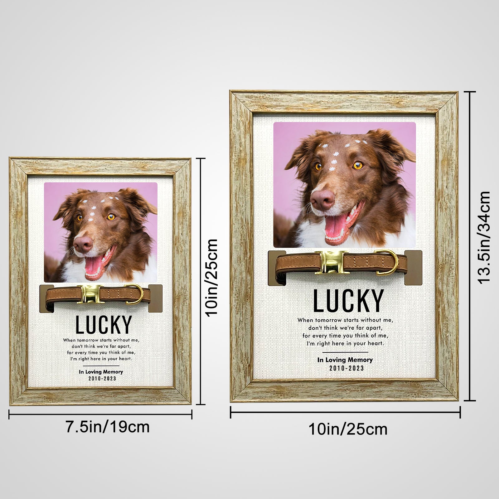 Custom Pet Collar Frame with Photo Dog Remembrance Picture Frame for Deceased Dog - MACIFECI