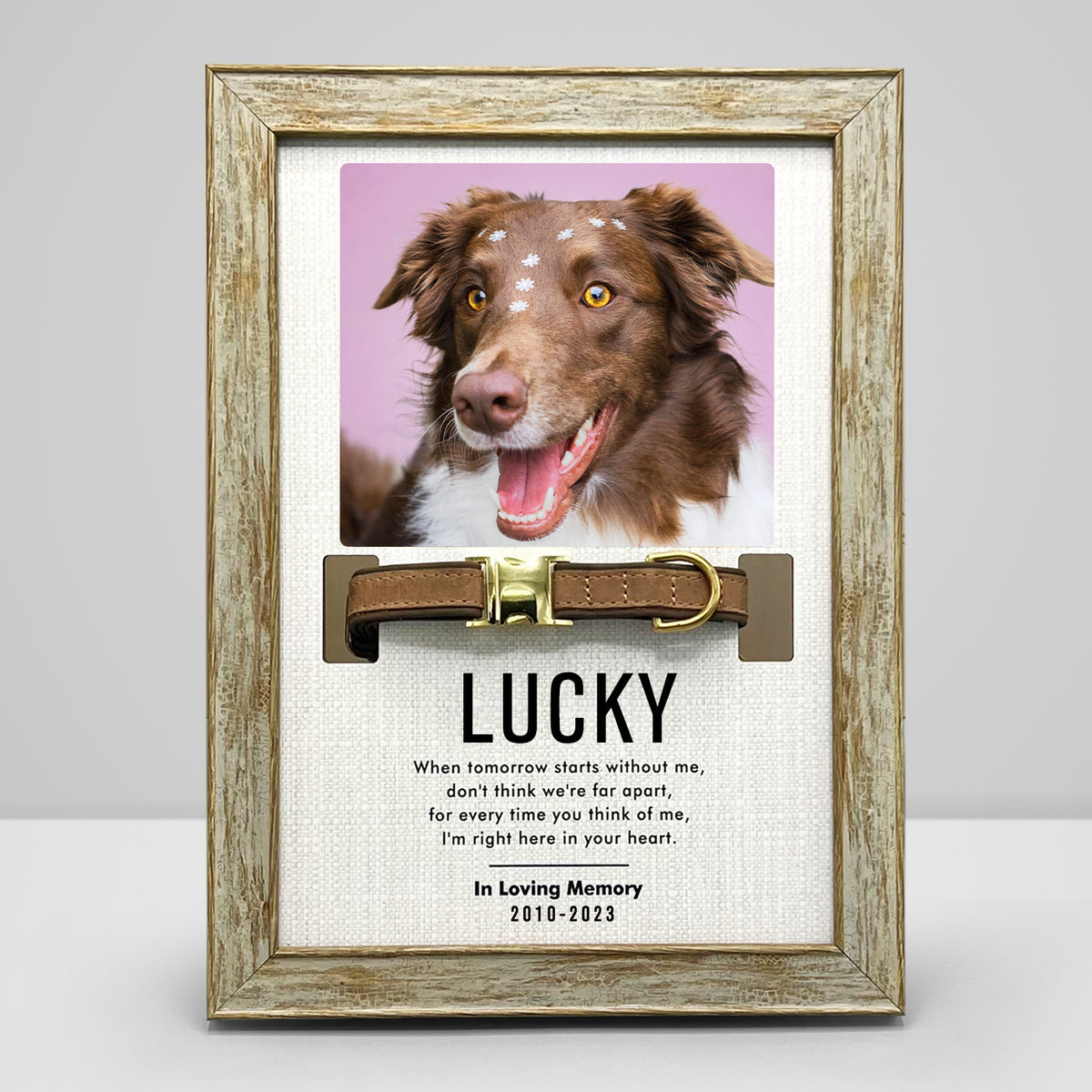 Custom Pet Collar Frame with Photo Dog Remembrance Picture Frame for Deceased Dog - MACIFECI