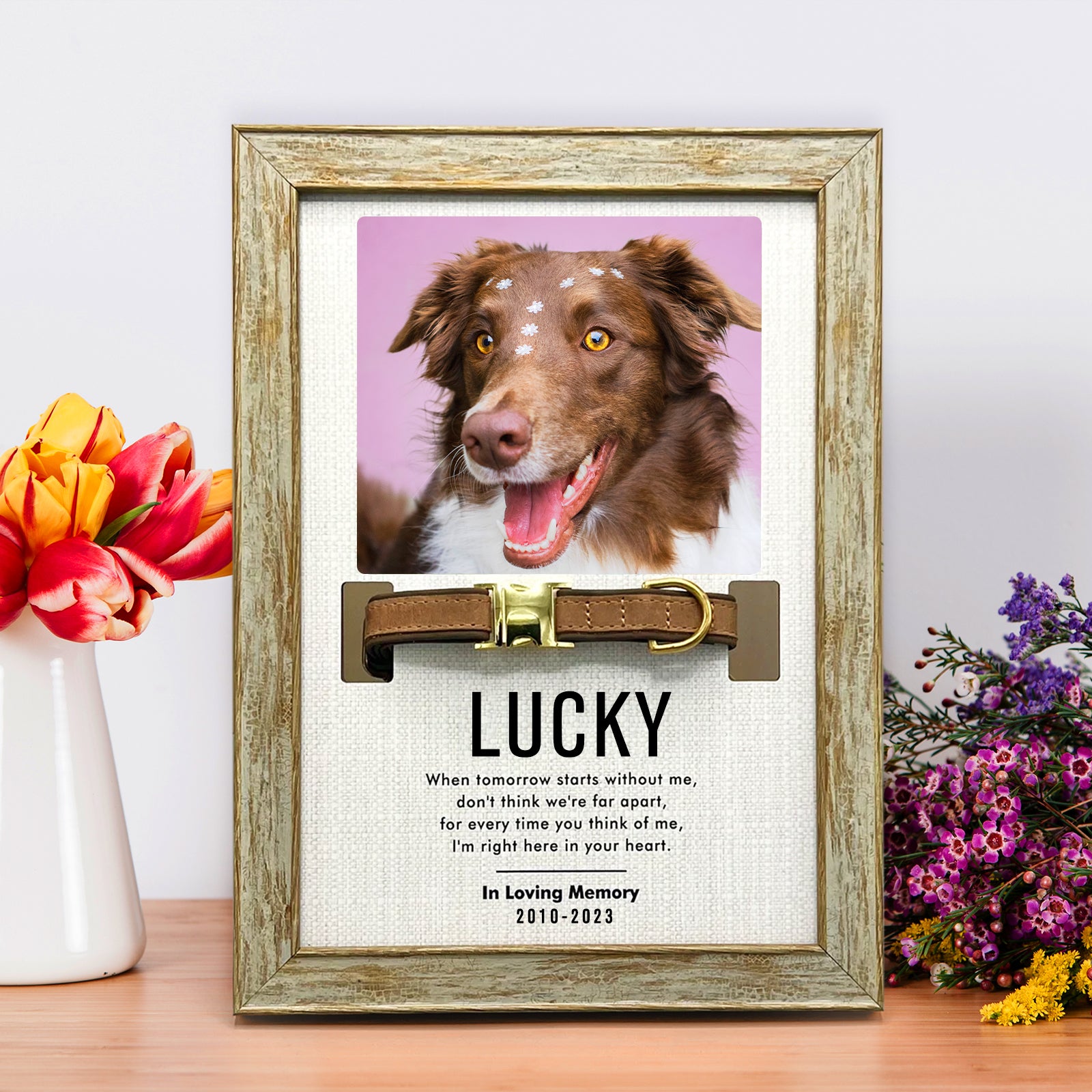 Custom Pet Collar Frame with Photo Dog Remembrance Picture Frame for Deceased Dog - MACIFECI