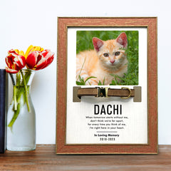 Custom Pet Collar Frame with Photo Dog Remembrance Picture Frame for Deceased Dog - MACIFECI