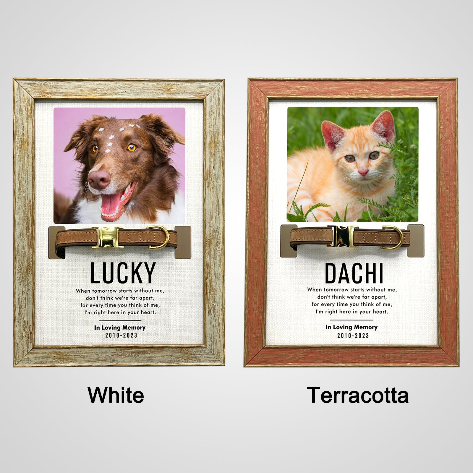 Custom Pet Collar Frame with Photo Dog Remembrance Picture Frame for Deceased Dog - MACIFECI