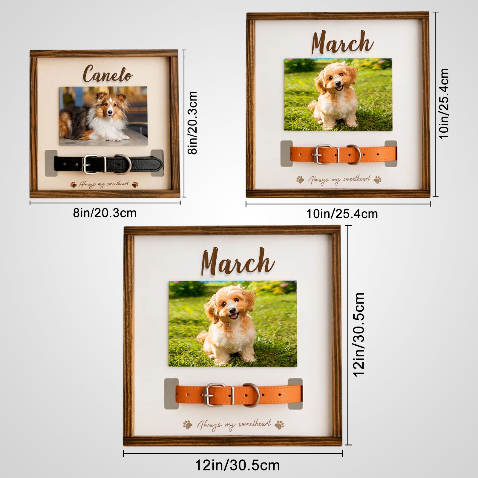 Custom Pet Collar Memorial Frame for Dog That Passed Away - MACIFECI