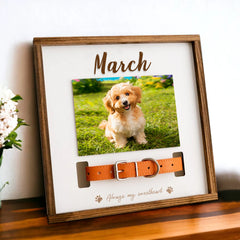 Custom Pet Collar Memorial Frame for Dog That Passed Away - MACIFECI