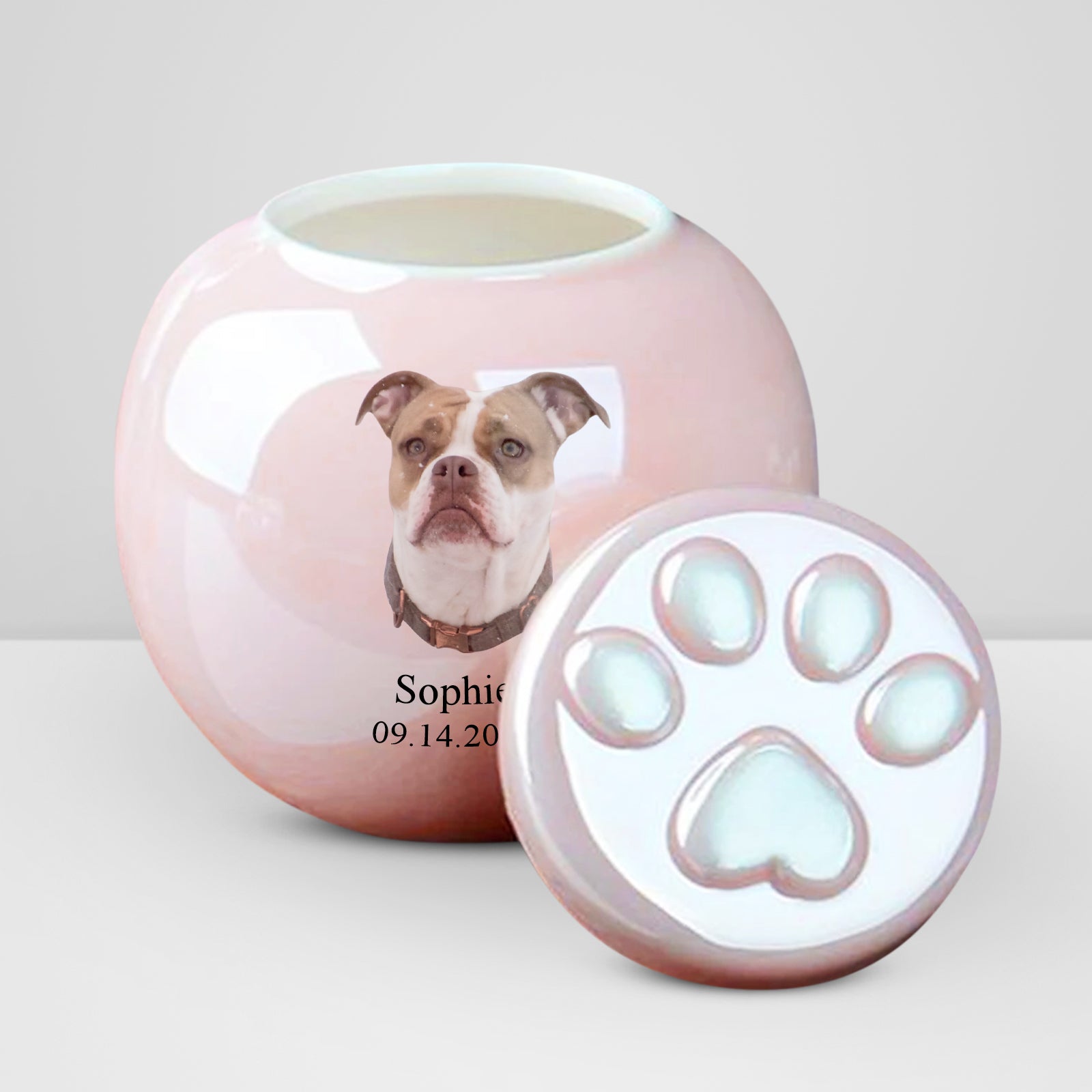 Custom Pet Cremation Urn for Ashes Personalized Dog/Cat Keepsake Urn for Beloved Pet Memory - MACIFECI