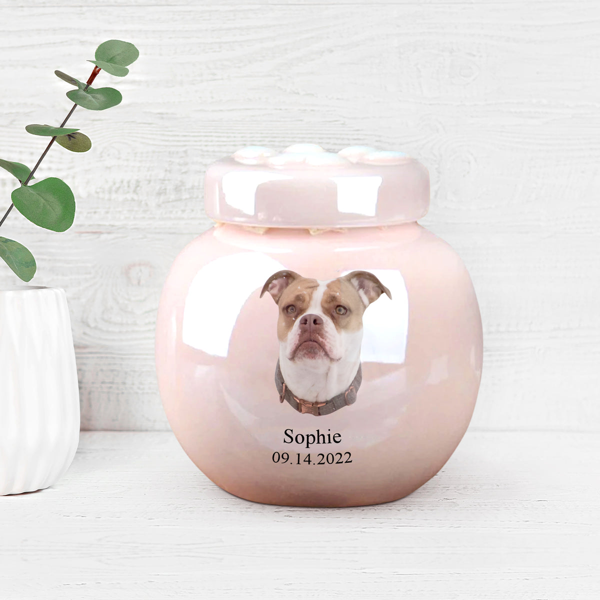 Custom Pet Cremation Urn for Ashes Personalized Dog/Cat Keepsake Urn for Beloved Pet Memory - MACIFECI