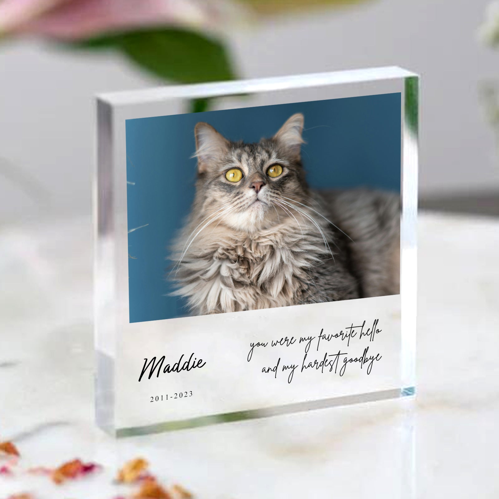 Custom Pet Memorial Acrylic Plaque with Photo Personalized Pet Loss Gifts - MACIFECI