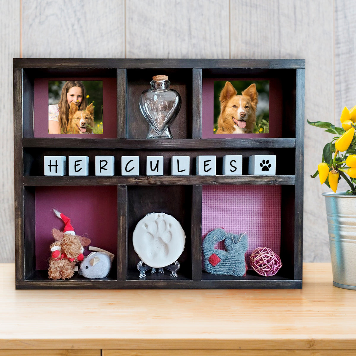 Custom Pet Memorial Shadow Box with Name Personalized Urn Keepsake Frame for Dog - MACIFECI