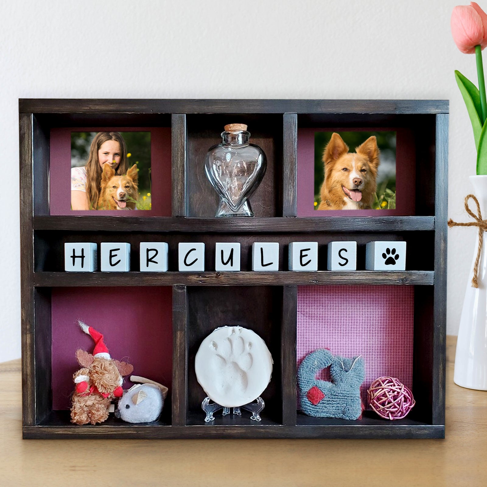 Custom Pet Memorial Shadow Box with Name Personalized Urn Keepsake Frame for Dog - MACIFECI