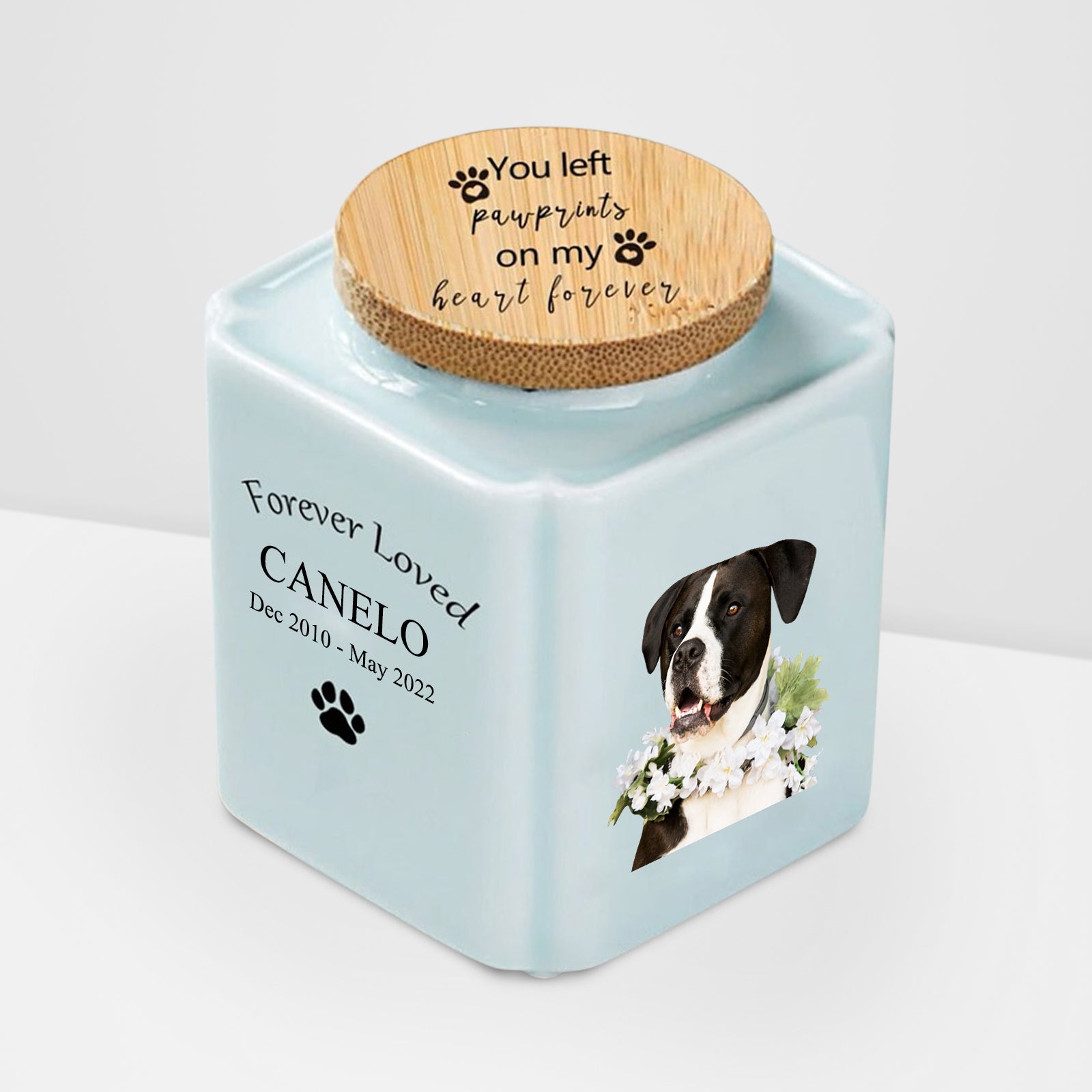 Custom Pet Memorial Urn for Ashes Personalized Dog/Cat Keepsake Urn - MACIFECI