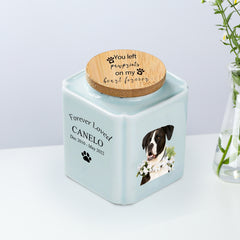 Custom Pet Memorial Urn for Ashes Personalized Dog/Cat Keepsake Urn - MACIFECI