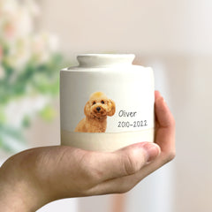 Custom Pet Photo Urn with Name Personalized Memorial Cremation Keepsakes for Dog,Cat - MACIFECI