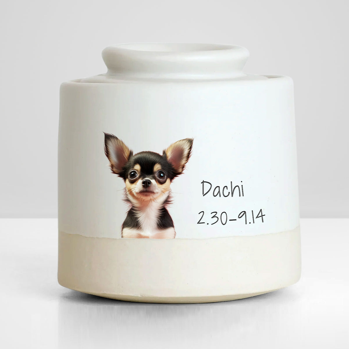 Custom Pet Photo Urn with Name Personalized Memorial Cremation Keepsakes for Dog,Cat - MACIFECI