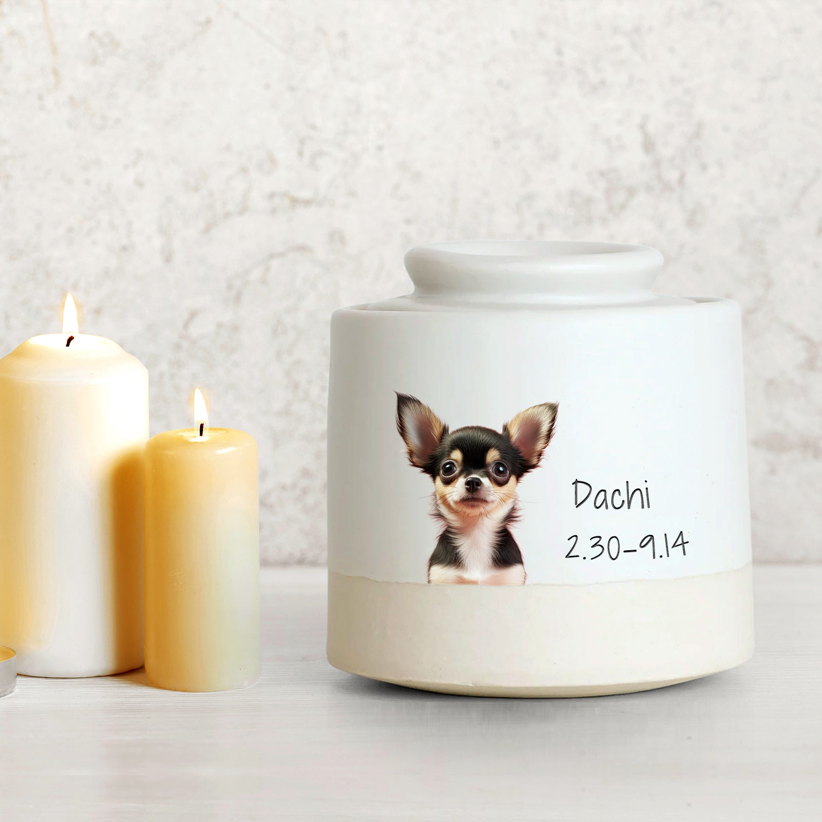 Custom Pet Photo Urn with Name Personalized Memorial Cremation Keepsakes for Dog,Cat - MACIFECI