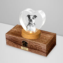 Custom Pet Urn Set with 3D Crystal Personalized Dog & Cat Urns for Ashes - MACIFECI