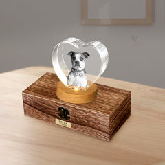 Custom Pet Urn Set with 3D Crystal Personalized Dog & Cat Urns for Ashes - MACIFECI