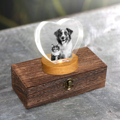 Custom Pet Urn Set with 3D Crystal Personalized Dog & Cat Urns for Ashes - MACIFECI