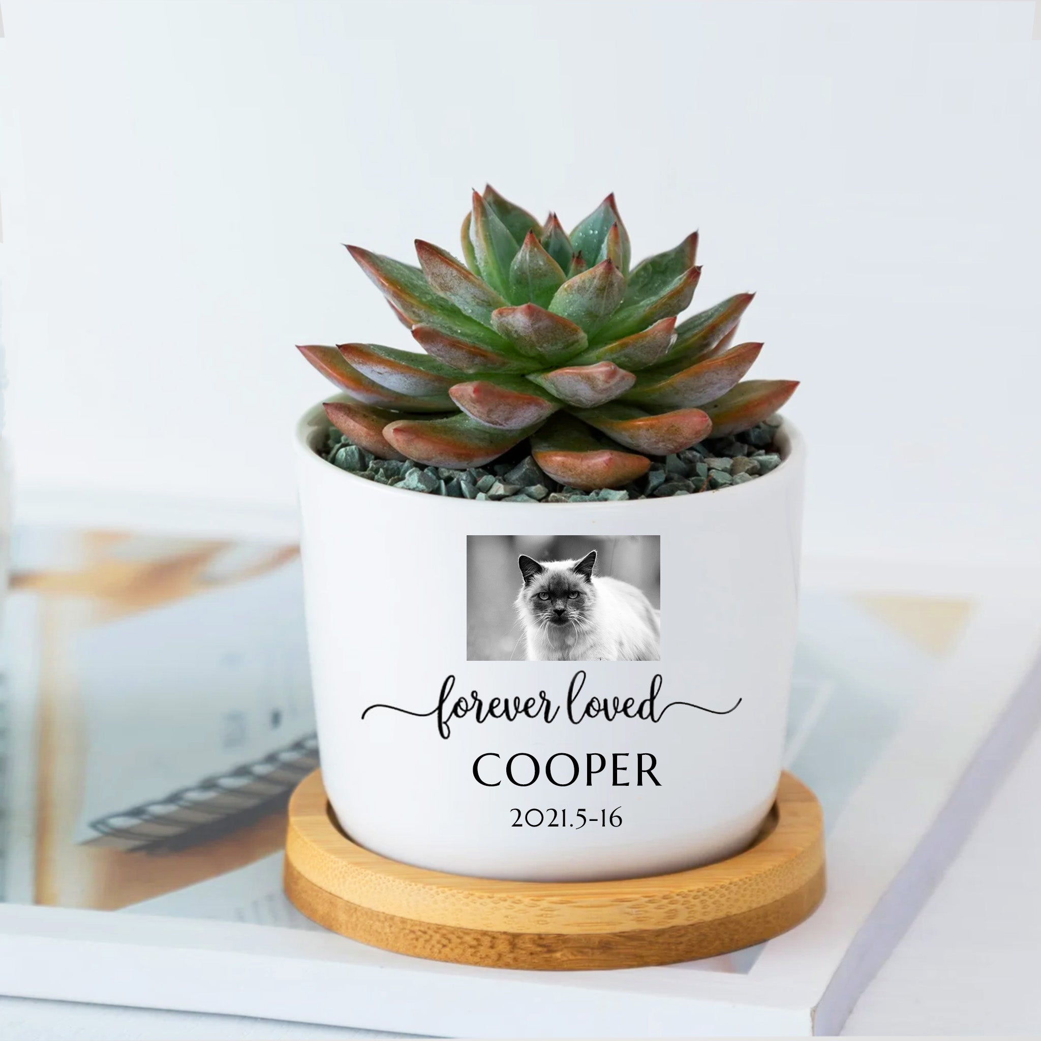 Custom Photo Flower Pot Personalized Dog Photo Urn Planters for Pet Memorial Gift - MACIFECI