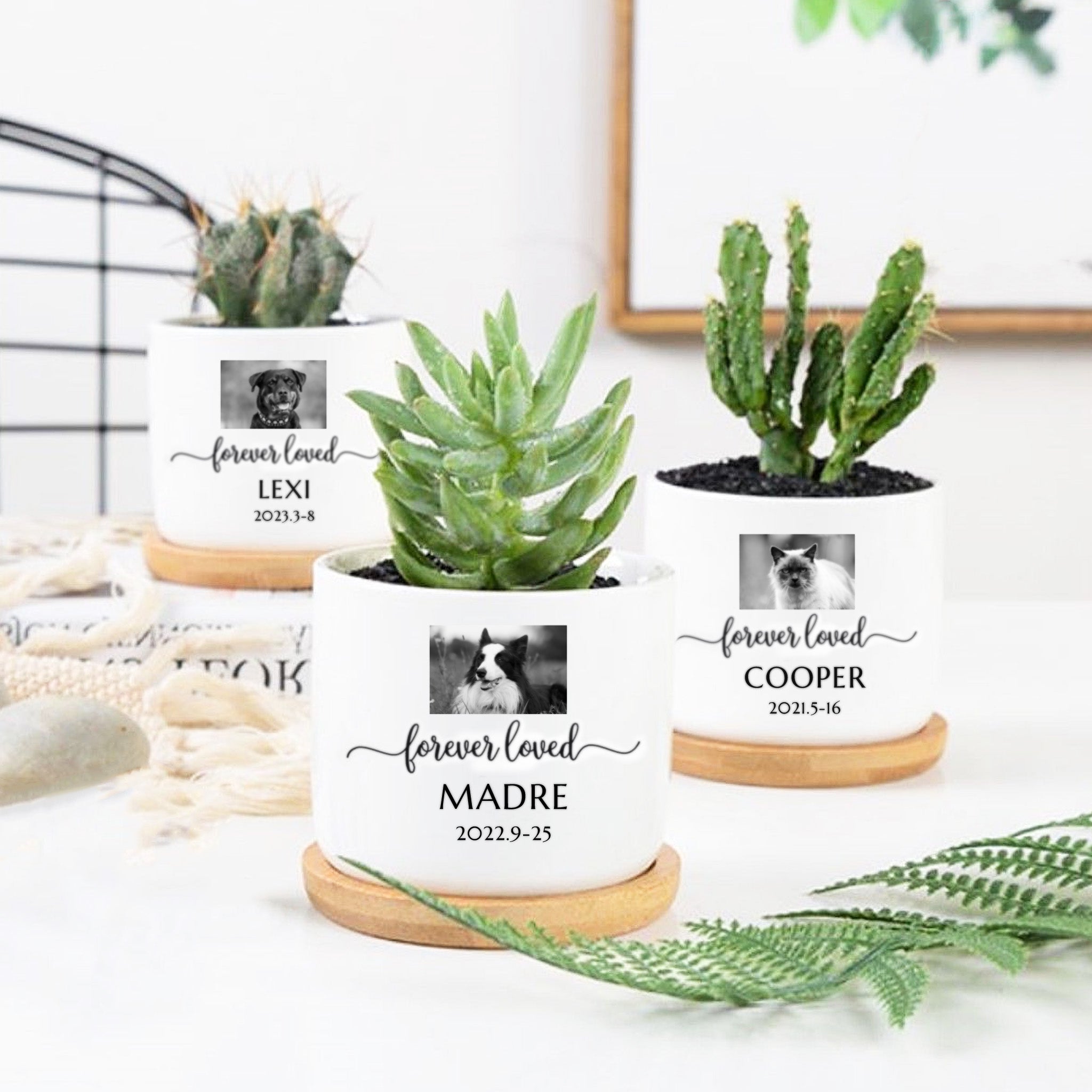 Custom Photo Flower Pot Personalized Dog Photo Urn Planters for Pet Memorial Gift - MACIFECI