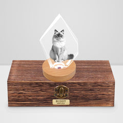 Customized Pet Ashes Urn Box with 3d Photo Crystal for Dog Memorial Gift - MACIFECI
