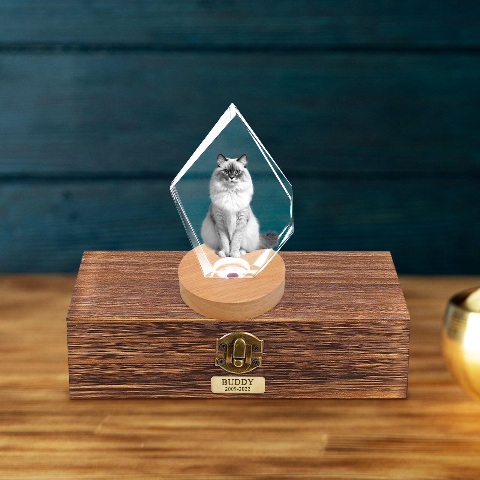 Customized Pet Ashes Urn Box with 3d Photo Crystal for Dog Memorial Gift - MACIFECI