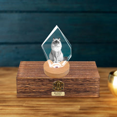 Customized Pet Ashes Urn Box with 3d Photo Crystal for Dog Memorial Gift - MACIFECI